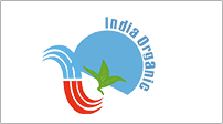 logo 13